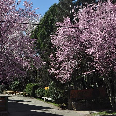 Apart Hotel La Bora San Martín de los Andes Eksteriør bilde